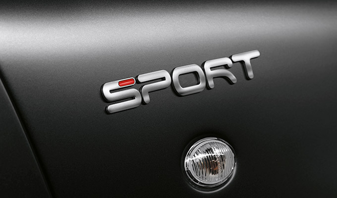 SPORT BADGE